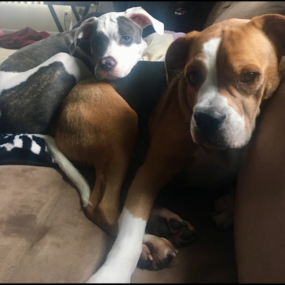 MEET YOUR SELLER/BUYER!! - Picture 2 of 4